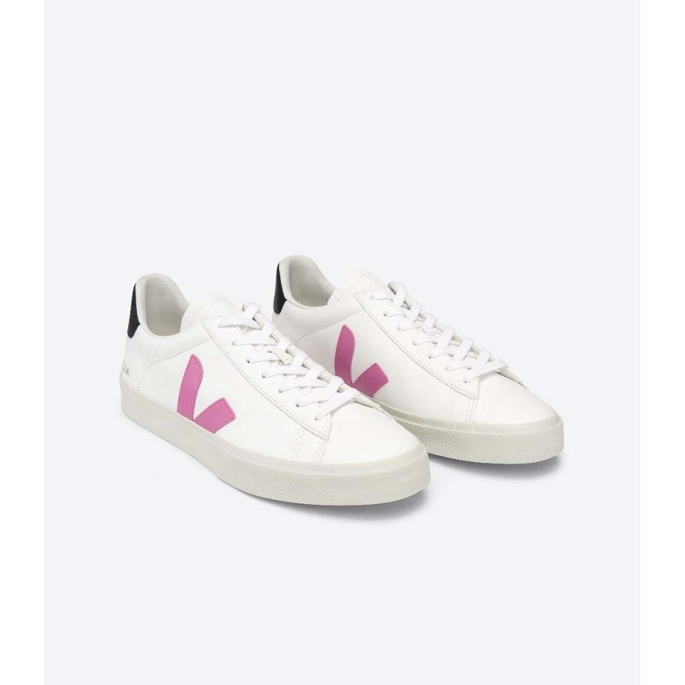 White/Purple Women's Veja CAMPO CHROMEFREE Low Tops Sneakers | AU 597FDN